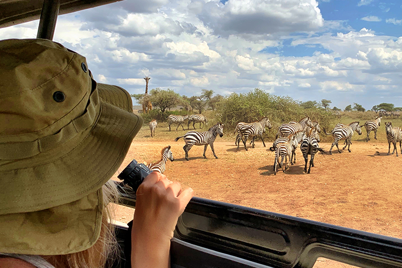 Planning your Namibian Safari 2025