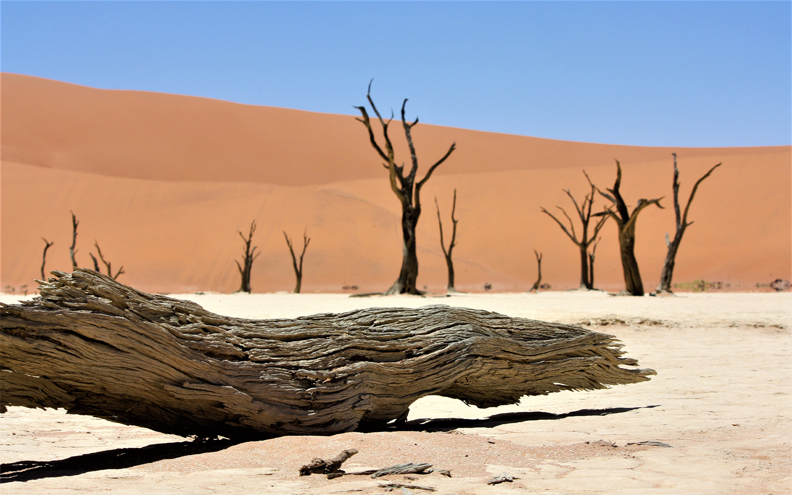 Sossusvlei  located in the southern part of the Namib Desert, in the Namib-Naukluft National Park of Namibia.
